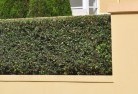 Cypress Gardensprivacy-fencing-28.jpg; ?>